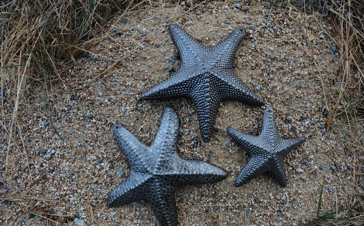 Starfish Sculpture